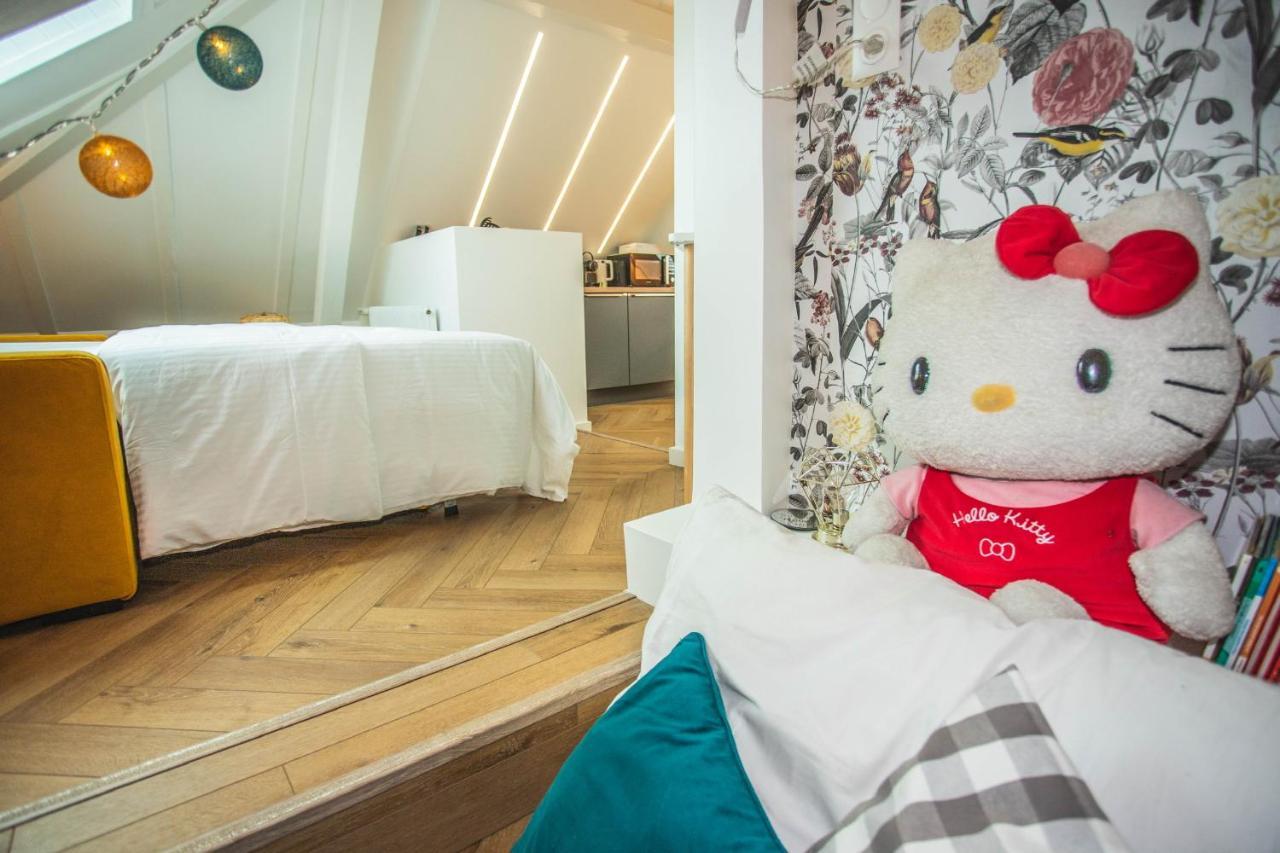 Appart Cosy Prive Avec Parking Gratuit Aux Portes De Strasbourg Энайм Экстерьер фото